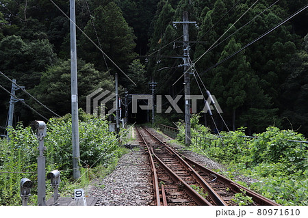 白丸駅と鳩ノ巣駅の間のトンネル 80971610
