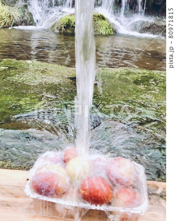 冷たい湧き水とスモモ（羊蹄山のふもとにて撮影） 80971815