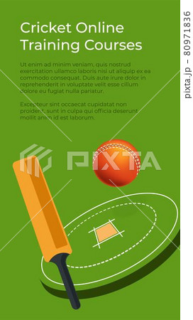 Cricket online training courses, learning to play Cricket online training courses, learning to play 80971836