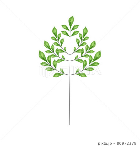 Line art composition with realistic leaves. Line art composition with realistic leaves. 80972379