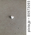 ツバメの卵の殻 80973093