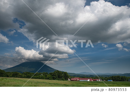 夏雲かかる羊蹄山 80973553