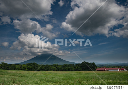 夏雲かかる羊蹄山 80973554