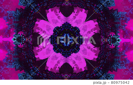 Kaleidoscopic altered image of garden flowers pansies, dianthus resembling a mandala 80975042