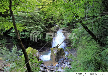 スッカン沢の仁三郎の滝／栃木県那須塩原市 80975270