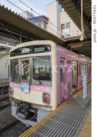 京王線　京王電鉄 　動物園線　車内　座席　 京王帝都電鉄　多摩動物公園ラッピング 80975601