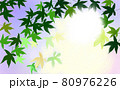 新緑 80976226