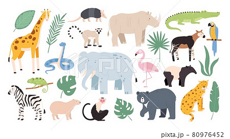 Flat wild safari animals from rainforest and savanna. Jungle forest birds, monkey and snake. African zebra, crocodile and jaguar vector set 80976452