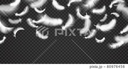 Falling white soft feathers and fluff realistic background. Flying light duck quill. Angel feather from heaven. 3d softness vector concept 80976456