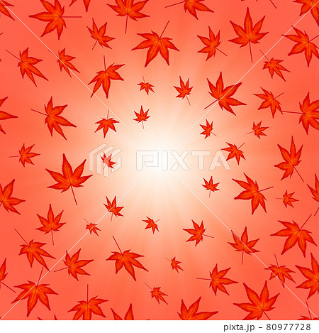 秋の背景イメージ素材 舞い落ちる紅葉 3 2 のイラスト素材