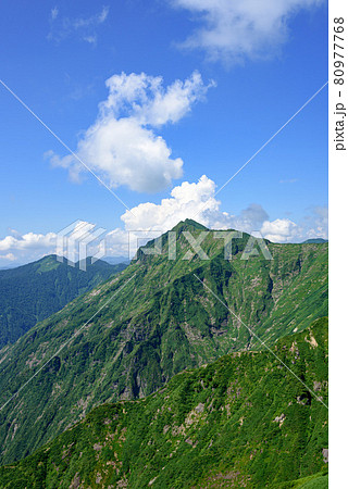 夏の空と谷川連峰・川棚ノ頭（天神尾根登山道より） 80977768