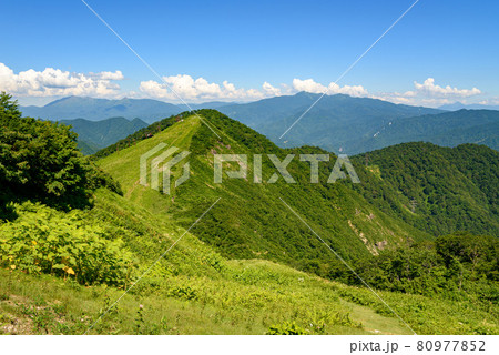 夏の山並み（谷川岳天神平） 80977852