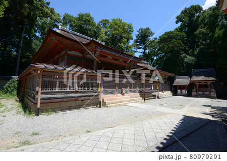 石清水八幡宮　若宮社・若宮殿社　京都府八幡市 80979291