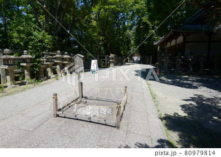 石清水八幡宮　一ツ石と参道　京都府八幡市 80979814