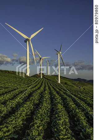 タービン 雲 空 80979860