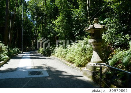石清水八幡宮 参道 京都府八幡市 石清水八幡宮 参道 京都府八幡市 80979862