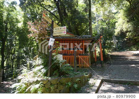 石清水八幡宮 表参道 松花堂趾への分かれ道 京都府八幡市 石清水八幡宮 表参道 松花堂趾への分かれ道 京都府八幡市 80979900