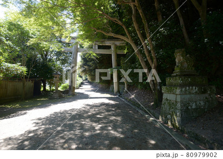 石清水八幡宮　二の鳥居　京都府八幡市 80979902