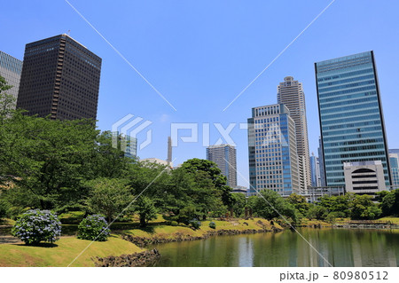 東京　港区　旧芝離宮恩賜庭園から見た汐留ビルディング 80980512