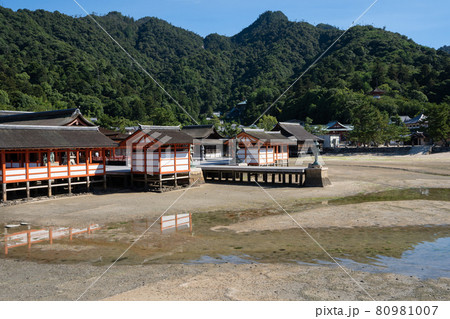 瀬戸内海に浮かぶ厳島神社と弥山方向を望む風景＜広島宮島/8月＞ 80981007