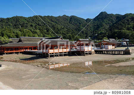 瀬戸内海に浮かぶ厳島神社と弥山方向を望む風景＜広島宮島/8月＞ 80981008