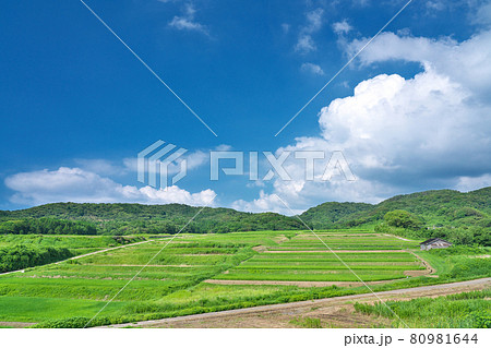 【棚田百選 大笹波水田】  石川県羽咋郡志賀町笹波ナ 80981644