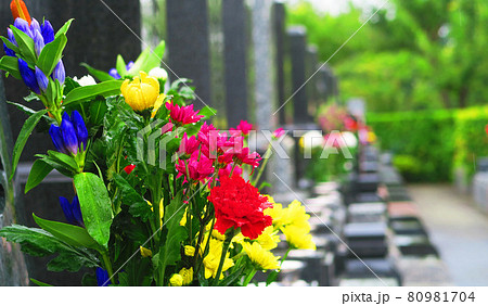 花が供えられた墓地、霊園の風景 80981704