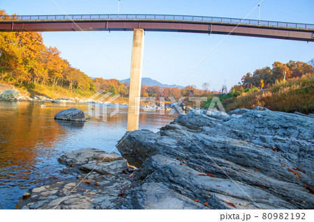 荒川 長瀞の秋 蓬莱島公園付近 金石水管橋 朝日を浴びる紅葉 荒川 長瀞の秋 蓬莱島公園付近 金石水管橋 朝日を浴びる紅葉 80982192