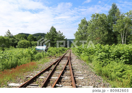 北海道、中川郡、美深町、トロッコ王国 80982603