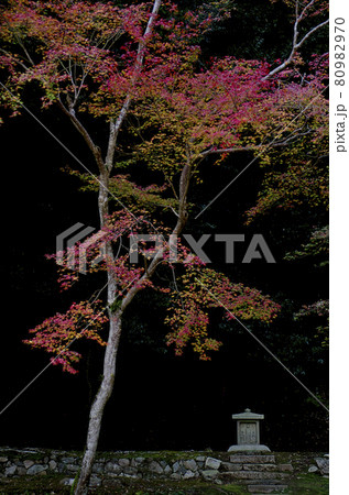 祠と紅葉 80982970