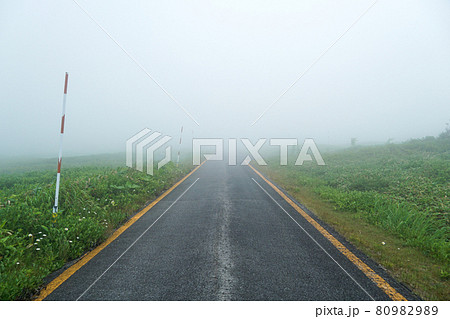 霧の中をゆく道 霧の中をゆく道 80982989