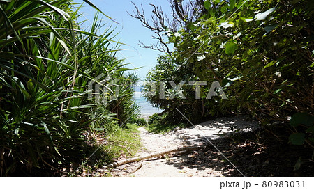 夏の久高島のウガーン浜 80983031