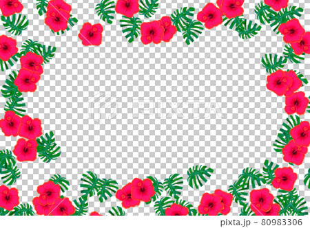 芙蓉框透明 芙蓉框透明 80983306