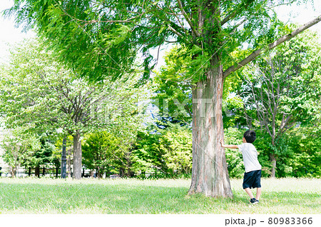 自然と少年(エコ、SDGs、カーボンニュートラルイメージ) 自然と少年(エコ、SDGs、カーボンニュートラルイメージ) 80983366