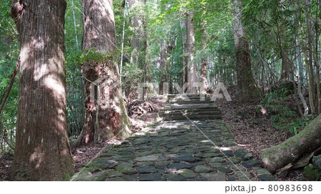 夏の和歌山　熊野古道　大門坂 80983698