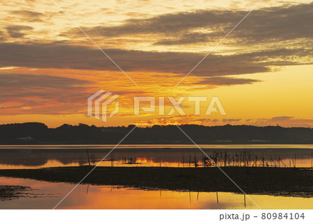 【千葉県】朝焼けの印旛沼（佐倉市臼井田付近） 80984104