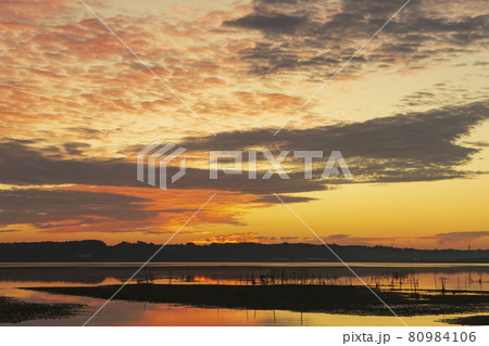 【千葉県】朝焼けの印旛沼（佐倉市臼井田付近） 80984106