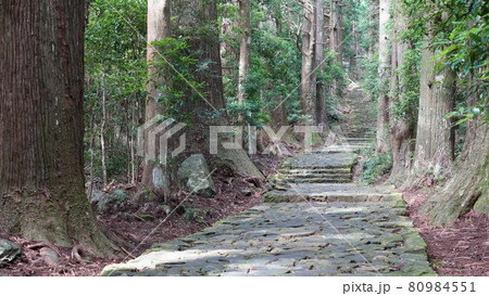 夏の和歌山　熊野古道　大門坂 80984551