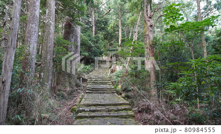 夏の和歌山　熊野古道　大門坂 80984555