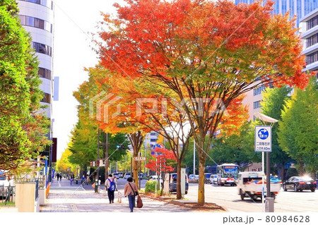 紅葉の仙台市街 紅葉の仙台市街 80984628