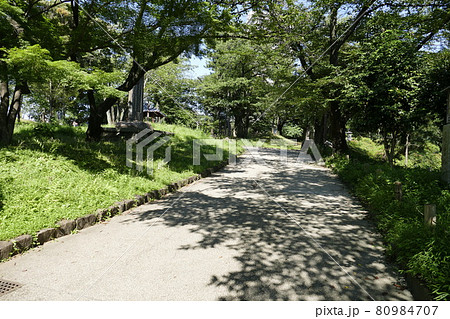 東京都北区 王子駅前 飛鳥山公園 由緒ある公園 上野公園・芝公園・浅草公園と並んで日本で最初に誕生 東京都北区 王子駅前 飛鳥山公園 由緒ある公園 上野公園・芝公園・浅草公園と並んで日本で最初に誕生 80984707