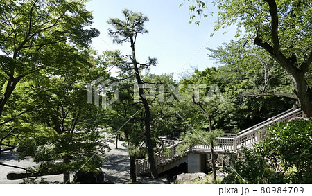 東京都北区　王子駅前　飛鳥山公園　由緒ある公園  上野公園・芝公園・浅草公園と並んで日本で最初に誕生 80984709