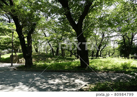 東京都北区 王子駅前 飛鳥山公園 由緒ある公園 上野公園・芝公園・浅草公園と並んで日本で最初に誕生 東京都北区 王子駅前 飛鳥山公園 由緒ある公園 上野公園・芝公園・浅草公園と並んで日本で最初に誕生 80984799