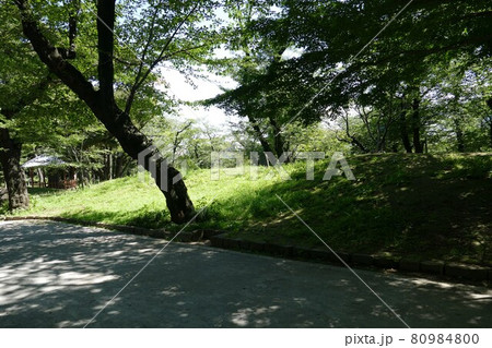 東京都北区 王子駅前 飛鳥山公園 由緒ある公園 上野公園・芝公園・浅草公園と並んで日本で最初に誕生 東京都北区 王子駅前 飛鳥山公園 由緒ある公園 上野公園・芝公園・浅草公園と並んで日本で最初に誕生 80984800