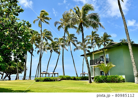 ハワイの休日 ハワイの休日 80985112