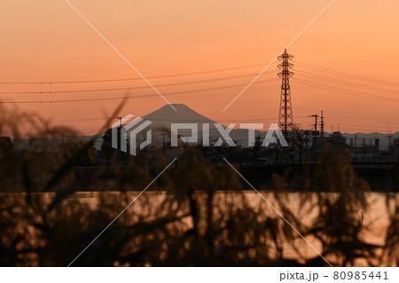 夕方の富士とススキ 80985441