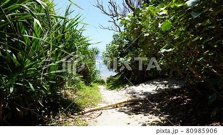 夏の久高島の周囲の風景 夏の久高島の周囲の風景 80985906