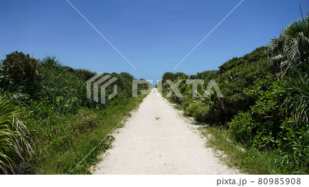 夏の久高島の周囲の風景 80985908