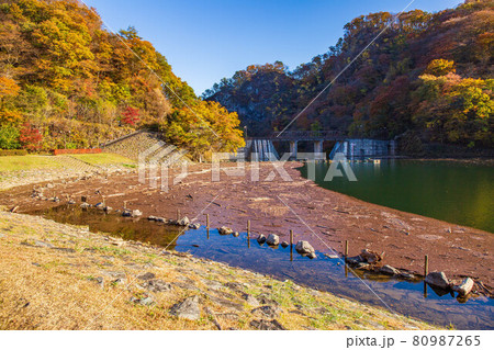 秋の碓氷峠　紅葉の碓氷湖　台風の傷跡 80987265