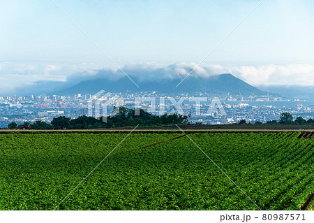 雲を被った函館山と畑の風景 雲を被った函館山と畑の風景 80987571